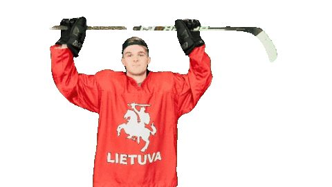 Hockey Sticker by ledoritulys.lt