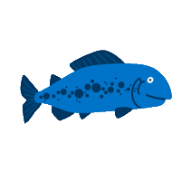 ewzenergie ewz meinelimmat limmatschwimmen Sticker