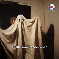 fries frysk GIF by Omrop Fryslân