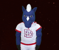 Football Touchdown GIF by Providence Day School