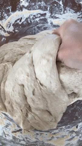 hloewent giphyupload GIF
