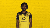 Borussia Dortmund Chukwuemeka GIF by Bundesliga