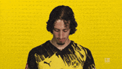 Borussia Dortmund Silva GIF by Bundesliga