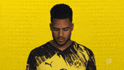 Borussia Dortmund GIF by Bundesliga