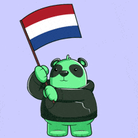 Proud Dutch Flag GIF by SuperVerse