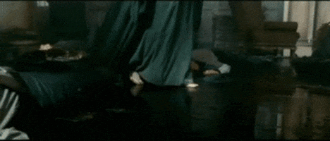 harry potter and the deathly hallow GIF