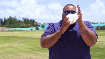 Conch Shell Bermuda GIF by Bermemes