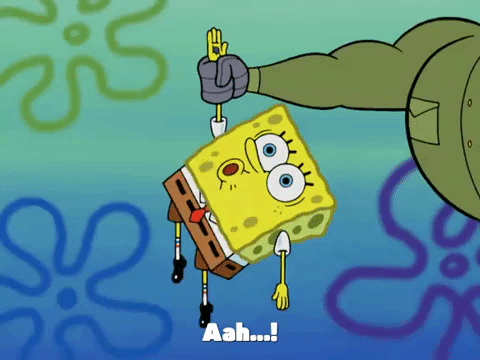season 4 krusty towers GIF by SpongeBob SquarePants