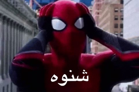 Spider Man Omg GIF