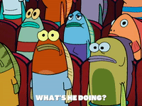 season 5 GIF by SpongeBob SquarePants