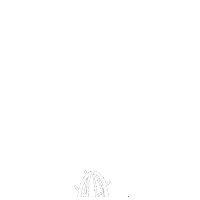 Cactus Arizona Sticker