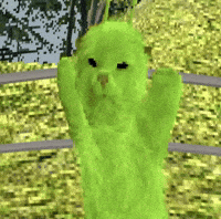 Dance Dancing GIF