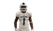 Bsubeaversfb Sticker by Bemidji State Beavers