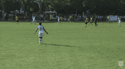 sick goal GIF by U.S. Soccer Federation
