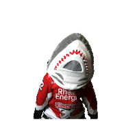 Goal Celebrate Sticker by Koelner Haie