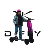 Dflysportscooter Sticker by D-Fly