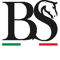 Logo Sticker by Briganti Silver