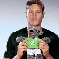football fun GIF by VfL Wolfsburg