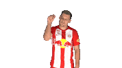 Zlatko Junuzovic Sticker by FC Red Bull Salzburg