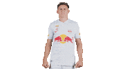 Football Sport Sticker by FC Red Bull Salzburg