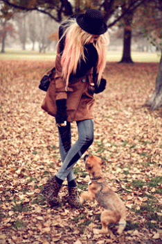 dog autumn GIF