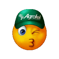 Kiss Sticker by Agrofel