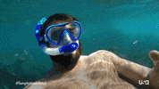 Usa Network Television GIF by Temptation Island