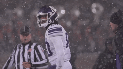 Northwestern Football GIF by Northwestern Athletics