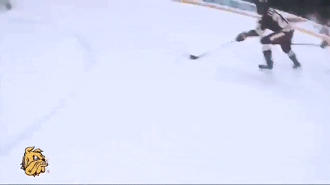 goal hockey GIF by Kathryn A. Martin Library