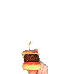 Sockkasey Puppet Sticker by Instagram Creator Lounge