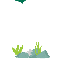 South Florida Sea Sticker by University of South Florida