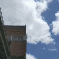 Flip Backflip GIF