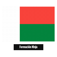 Flag Pixel Art Sticker by Formación Ninja