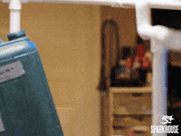 Im Ready Lets Go GIF by TheSparkhouse