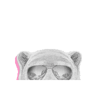 mindconsulting app mind website site Sticker