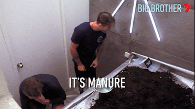 Big Brother GIF by Big Brother Australia
