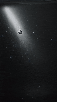 Horse Blueprint GIF by Ardas Archive