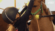 Friends Hacking GIF by FEI Global