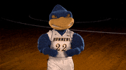 csubathletics  GIF