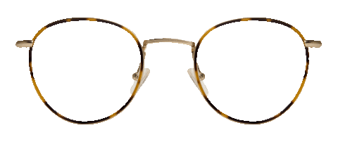 Try On Dan Levy Sticker by DL Eyewear