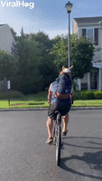 Corgi Goes for Bike Ride 