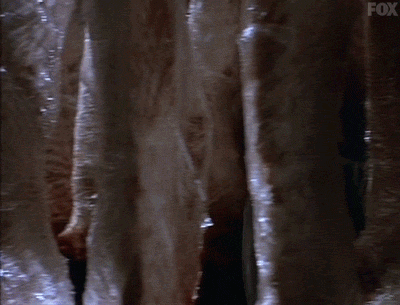 x files GIF by The X-Files