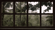 House Rain GIF