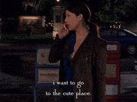 season 5 netflix GIF by Gilmore Girls 
