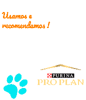 Dog Pet Sticker by Canil Du Drill Ranch