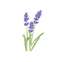 Cottage Le Coquelicot Shop Sticker by Tana Rendon