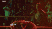 triple h wrestling GIF by WWE