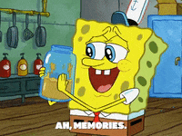 season 8 episode 3 GIF by SpongeBob SquarePants