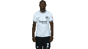 Turn Sge Sticker by Eintracht Frankfurt