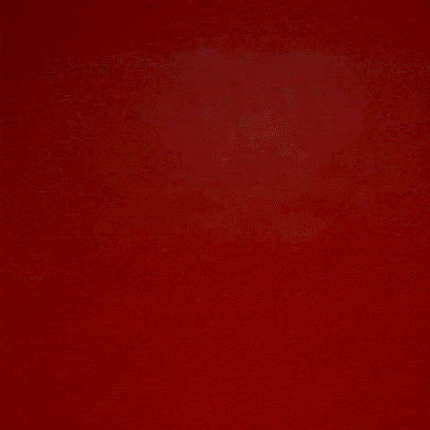 Chris Lemons GIF by Texas Tech Football